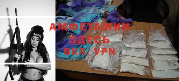 ГАЛЛЮЦИНОГЕННЫЕ ГРИБЫ Козловка